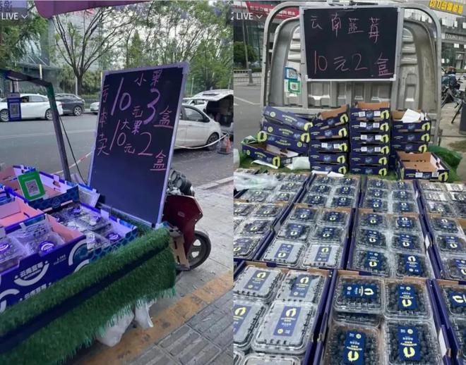 外国“水果贵族”集体沦为中国土特产(图3)