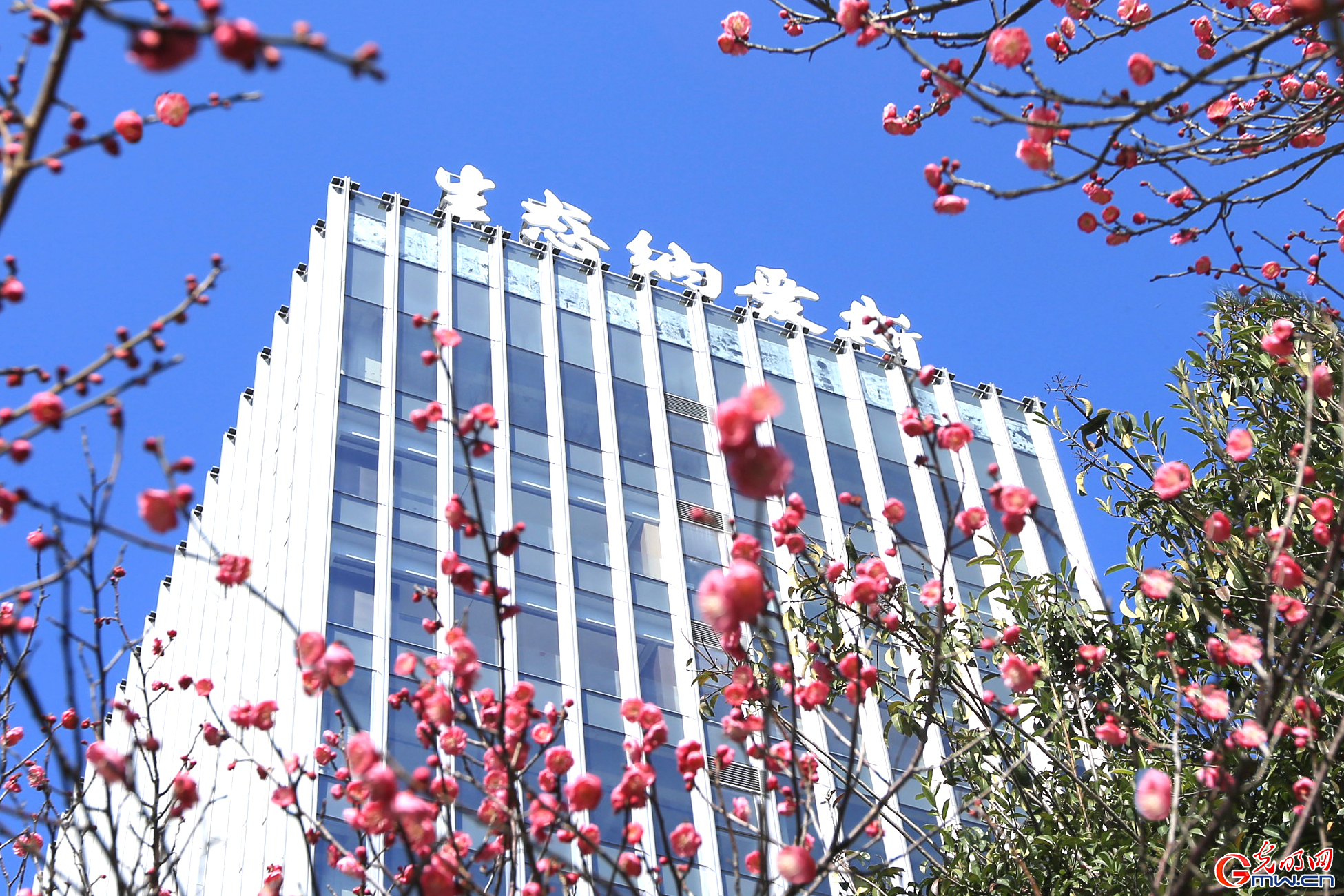从纳爱斯到生态纳爱斯：一家传统日化巨头的绿色跃迁之路(图2)