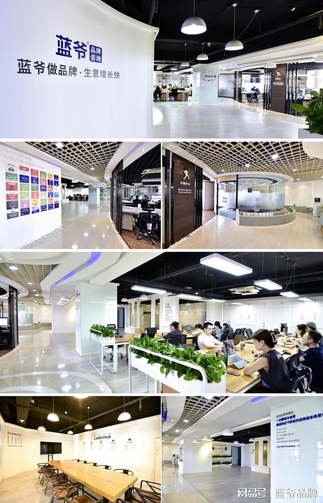 什么样的企业适合找品牌策划公司内蒙古蓝爷品牌营销设计公司(图2)