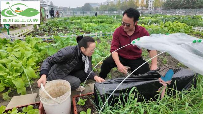 做认养农业如何做好品牌营销策划？(图2)