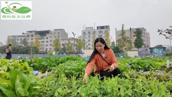 做认养农业如何做好品牌营销策划？(图3)