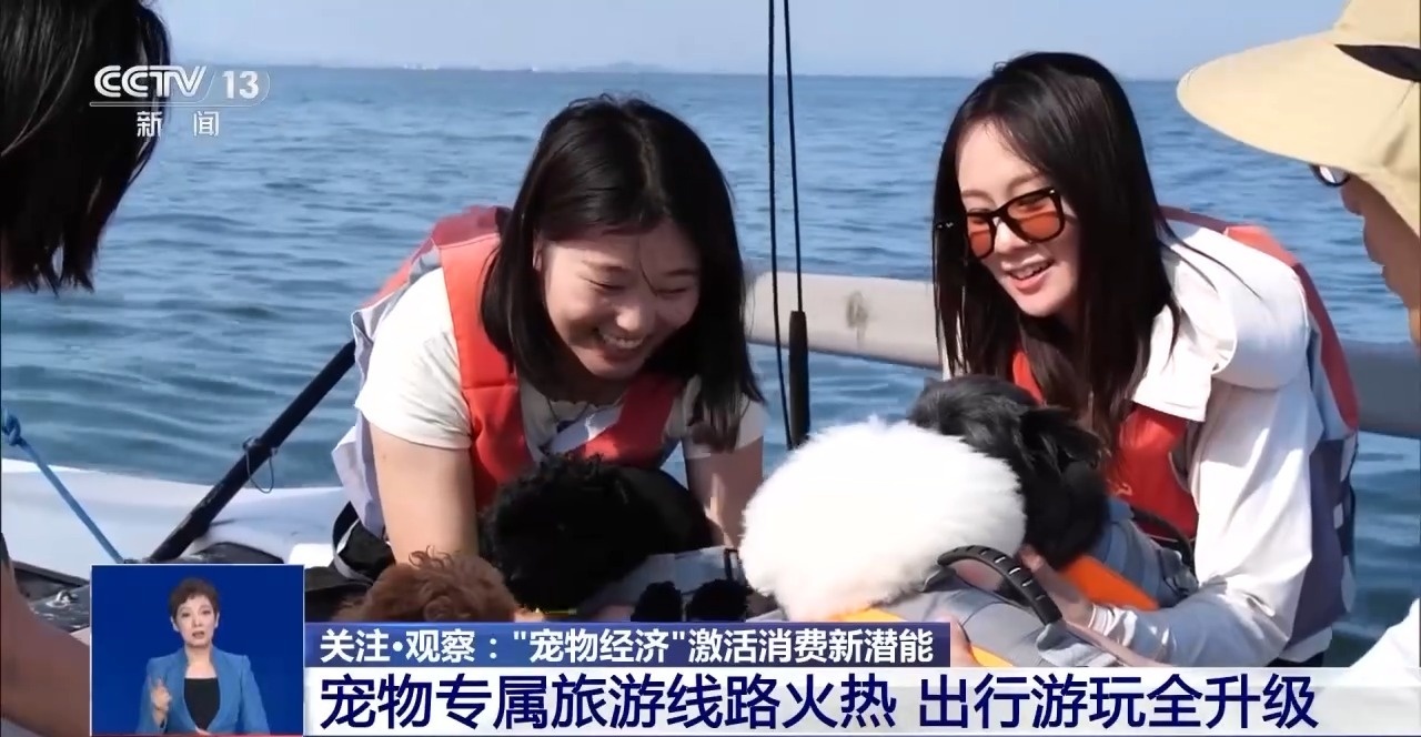 出行游玩全升级快来开启“携宠出行”新体验(图1)