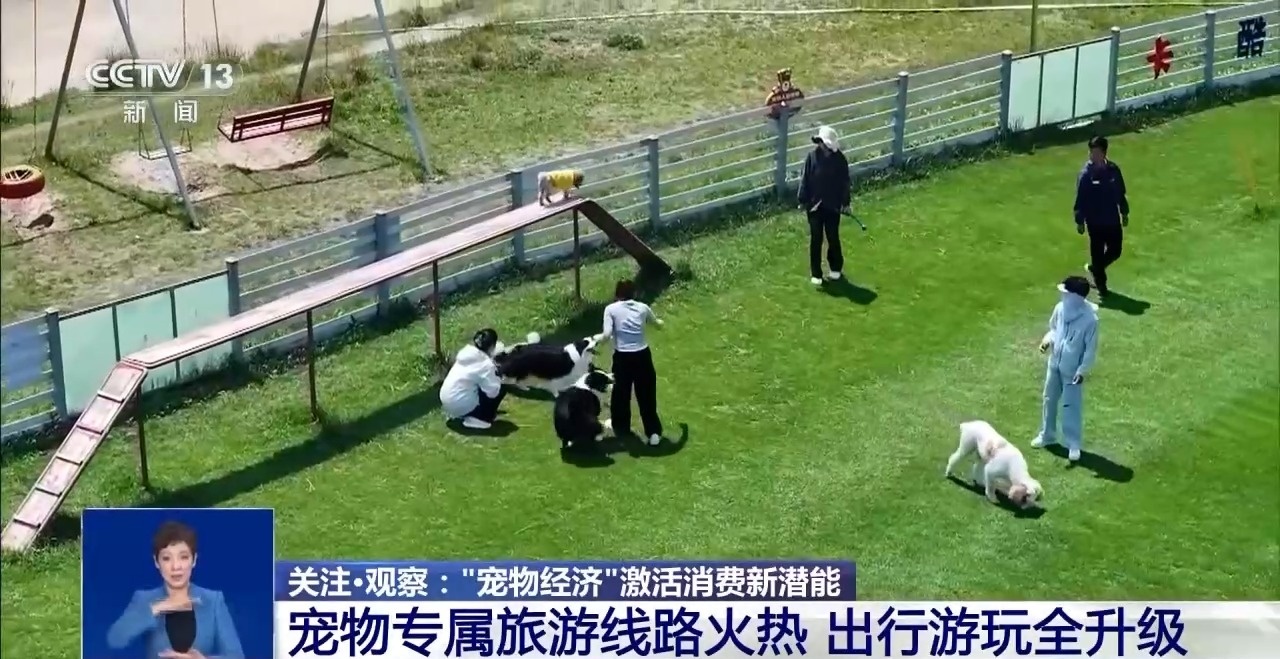 出行游玩全升级快来开启“携宠出行”新体验(图2)