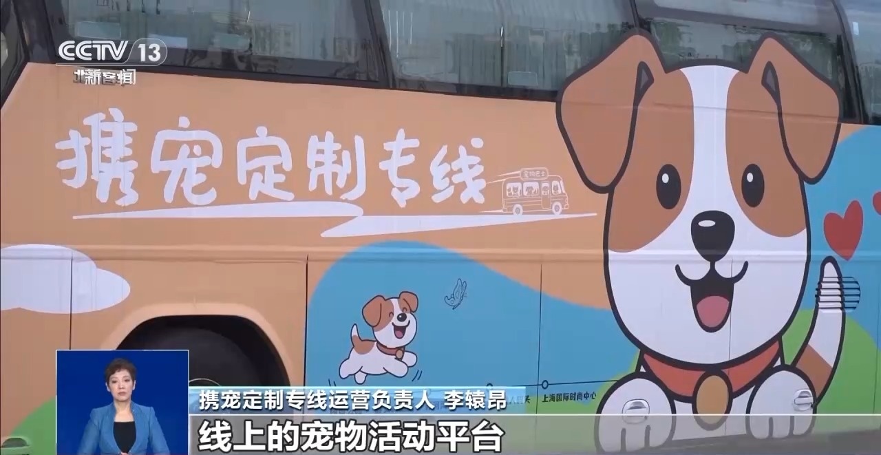 出行游玩全升级快来开启“携宠出行”新体验(图3)
