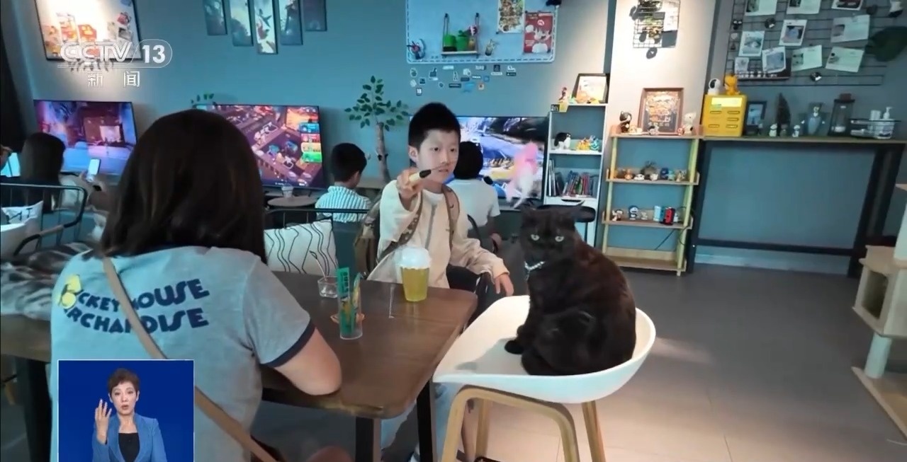 出行游玩全升级快来开启“携宠出行”新体验(图4)