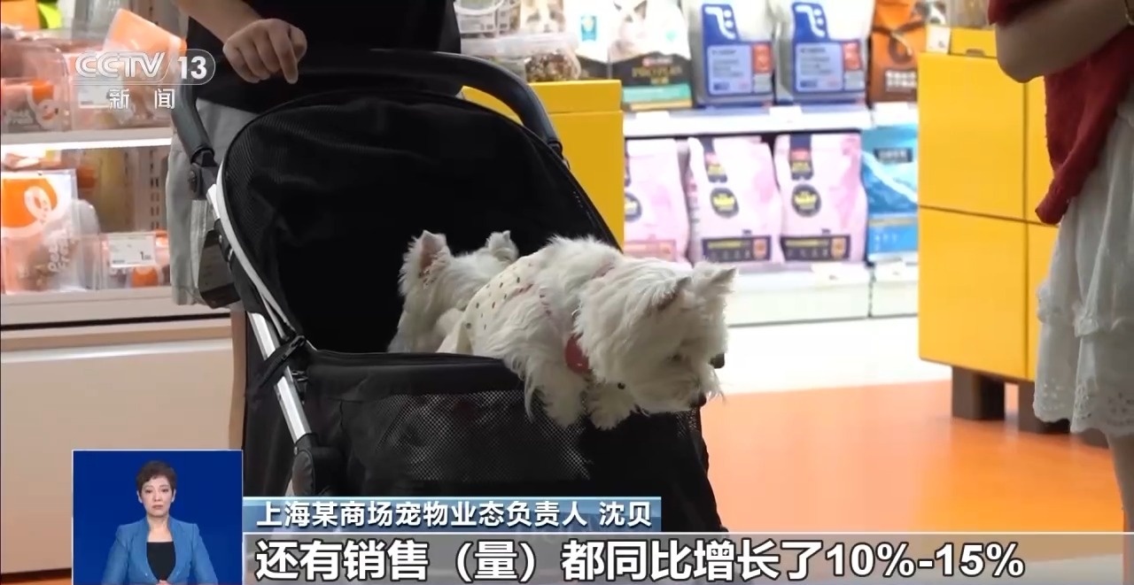 出行游玩全升级快来开启“携宠出行”新体验(图5)