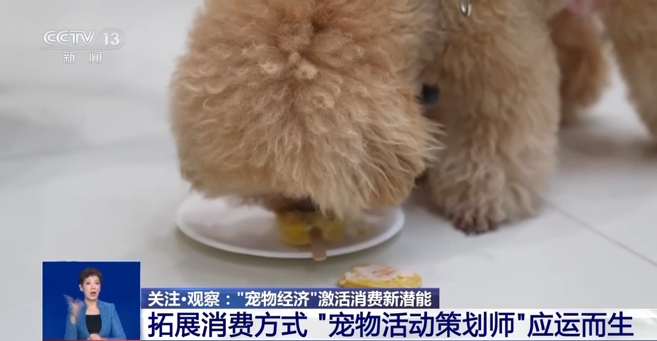 出行游玩全升级快来开启“携宠出行”新体验(图8)