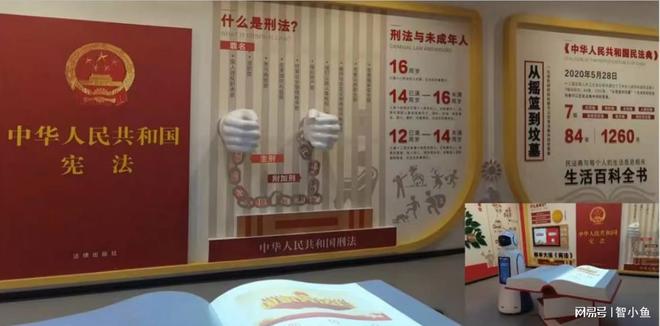 声光电中小学司法实践基地策划方案(图3)
