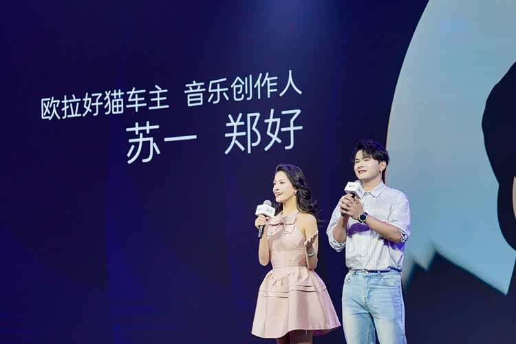 限时换新价798万起2025款欧拉好猫重塑A0级纯电标杆(图9)