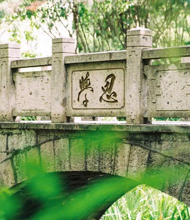 上海师范大学发布2026年MBA“领航鲸计划”现已开放申请！(图2)