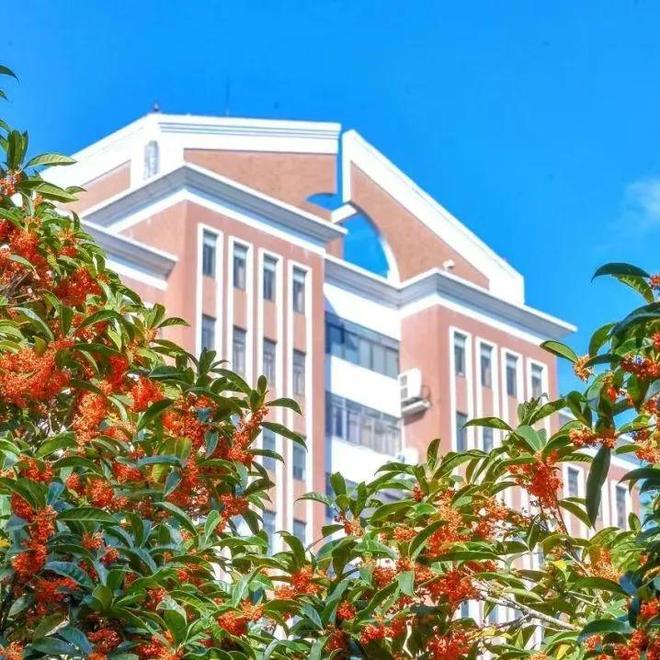 上海师范大学发布2026年MBA“领航鲸计划”现已开放申请！(图3)