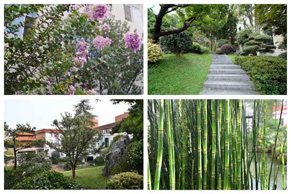 中国品牌日卓木王匠心锻造国牌典范创新诠释东方美学(图9)