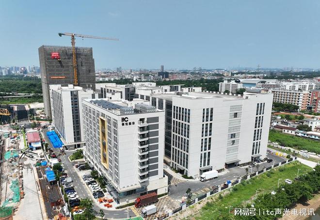 热烈祝贺itc保伦股份荣膺2024年度广东商标品牌建设优秀案例！(图1)