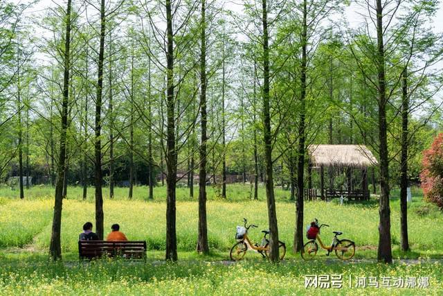 乡村文化旅游活动策划-涵盖流程介绍、活动推荐(图4)