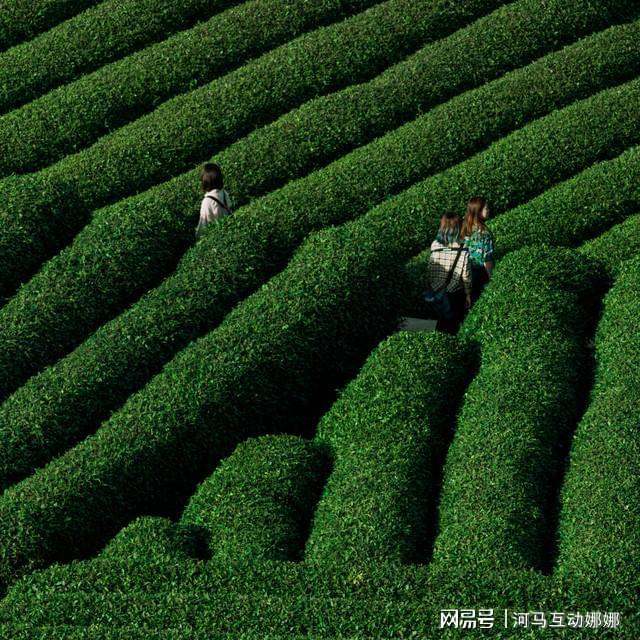 乡村文化旅游活动策划-涵盖流程介绍、活动推荐(图3)