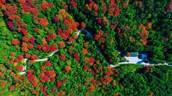 战川超游达州9至10月达州推出系列特色活动邀您来玩(图9)