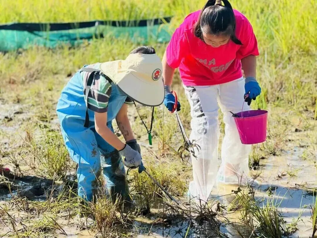 双节游房山！40余项重点文旅活动带游客解锁秋日精彩(图4)