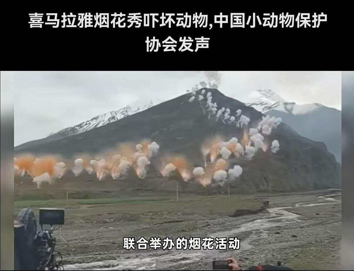 抬头放烟花与低头捡垃圾户外品牌的两种营销大撞车|鱼眼·观察(图1)