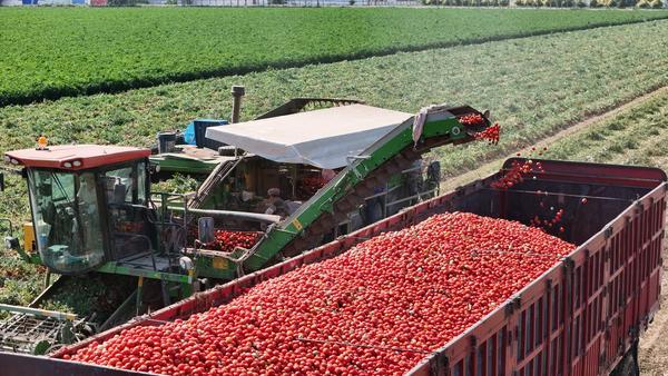 年销量超7000万份海底捞如何用“明星产品”撬动产业“新增量”?(图3)