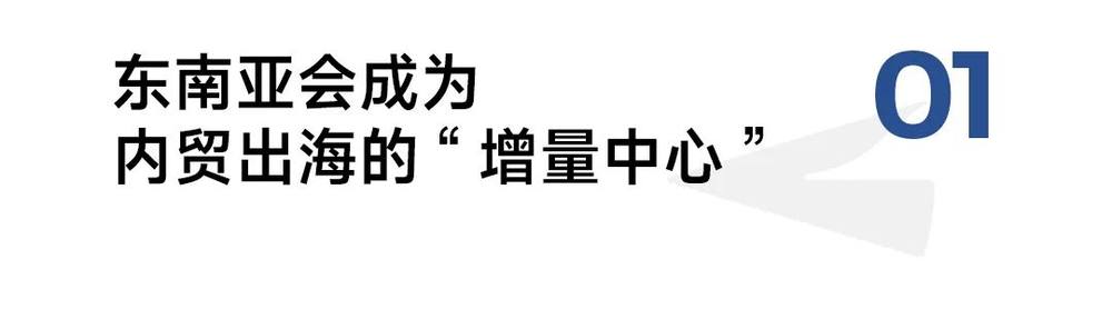 东南亚电商进入“快车道”中国品牌如何赢得下一个全球增量市场?(图2)