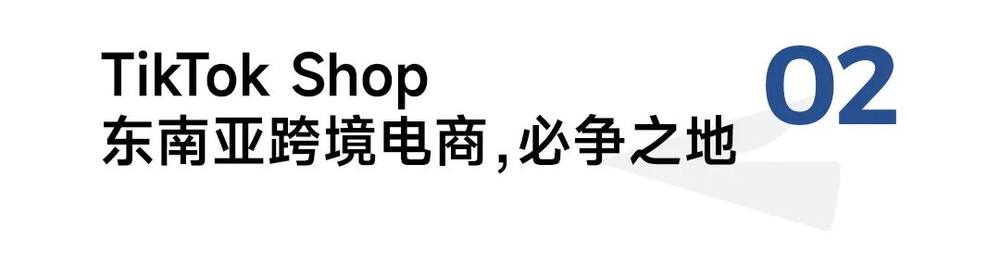 东南亚电商进入“快车道”中国品牌如何赢得下一个全球增量市场?(图5)