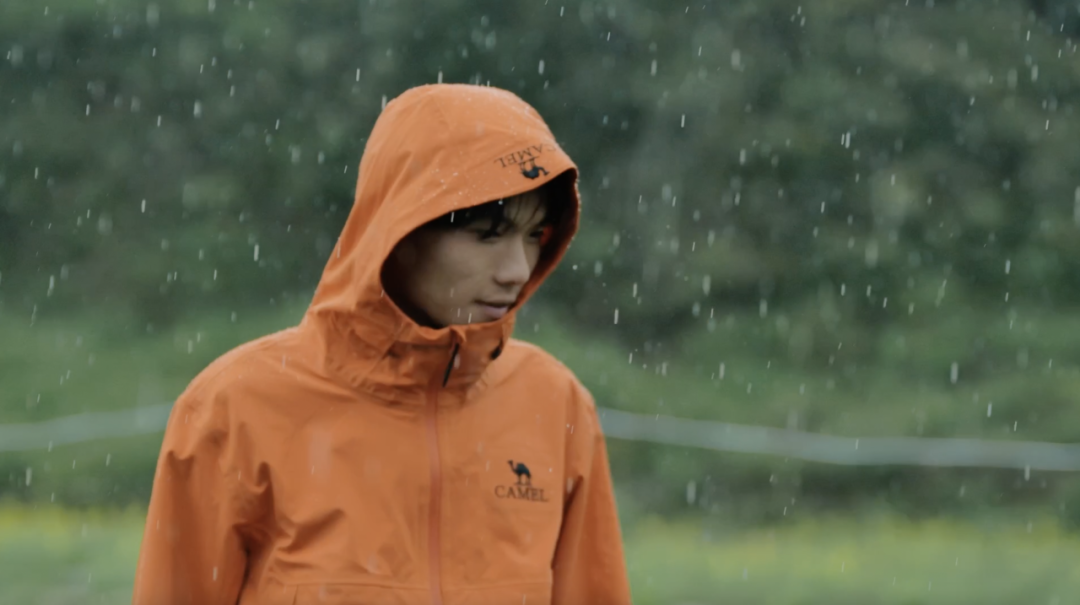 东南亚电商进入“快车道”中国品牌如何赢得下一个全球增量市场?(图10)