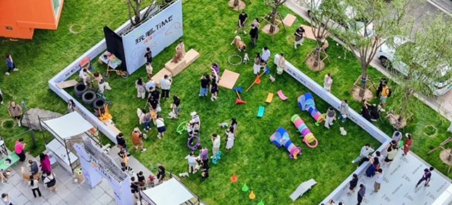 东胜区“双节”期间推出50余项活动构建全域节日体验新格局(图7)