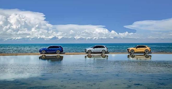 “营销变革”驱动市场破局一汽奥迪树立豪华品牌营销新范式(图6)