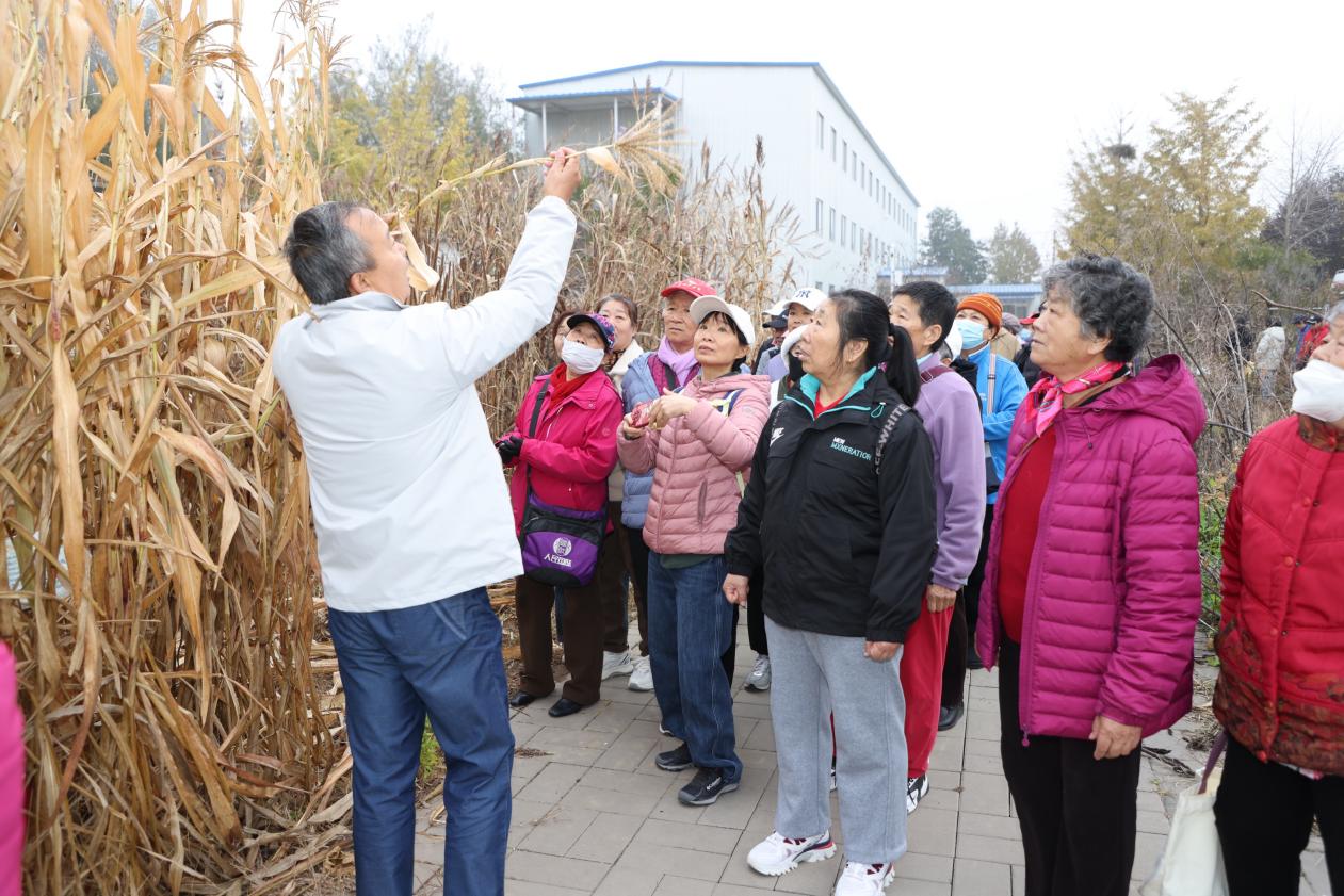 北京四区联动举办重阳活动“解锁”多样农趣活动(图1)
