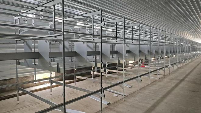 安徽品牌“好念头”二十万非笼养始祖黑鸡项目启动(图1)