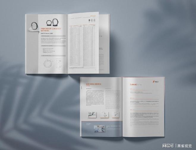 昆山品牌画册设计公司费用多少钱(图2)