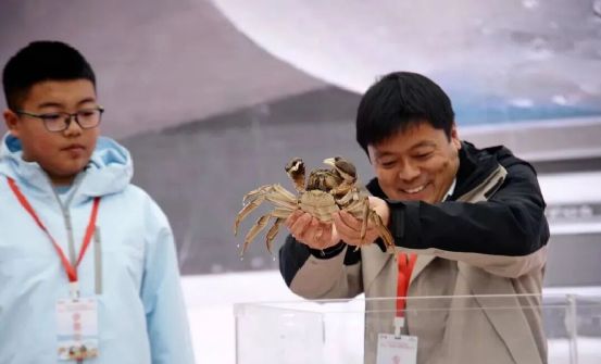 品牌周讯1117-1123农业品牌活动一览表(图23)