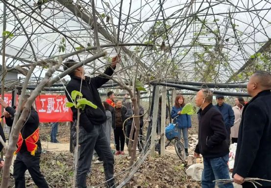 品牌周讯1117-1123农业品牌活动一览表(图12)