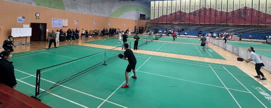 “宁宫杯”首届职工匹克球活动推广赛举办(图2)