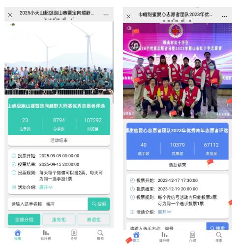 2025年“12·5”国际志愿者日线上投票评选活动策划方案推荐(图3)