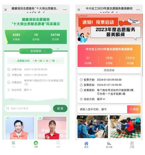 2025年“12·5”国际志愿者日线上投票评选活动策划方案推荐(图5)