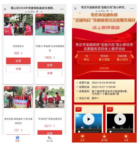 2025年“12·5”国际志愿者日线上投票评选活动策划方案推荐(图4)