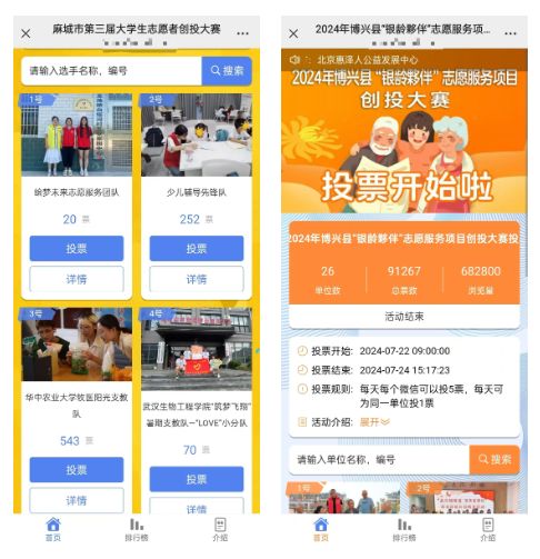 2025年“12·5”国际志愿者日线上投票评选活动策划方案推荐(图6)