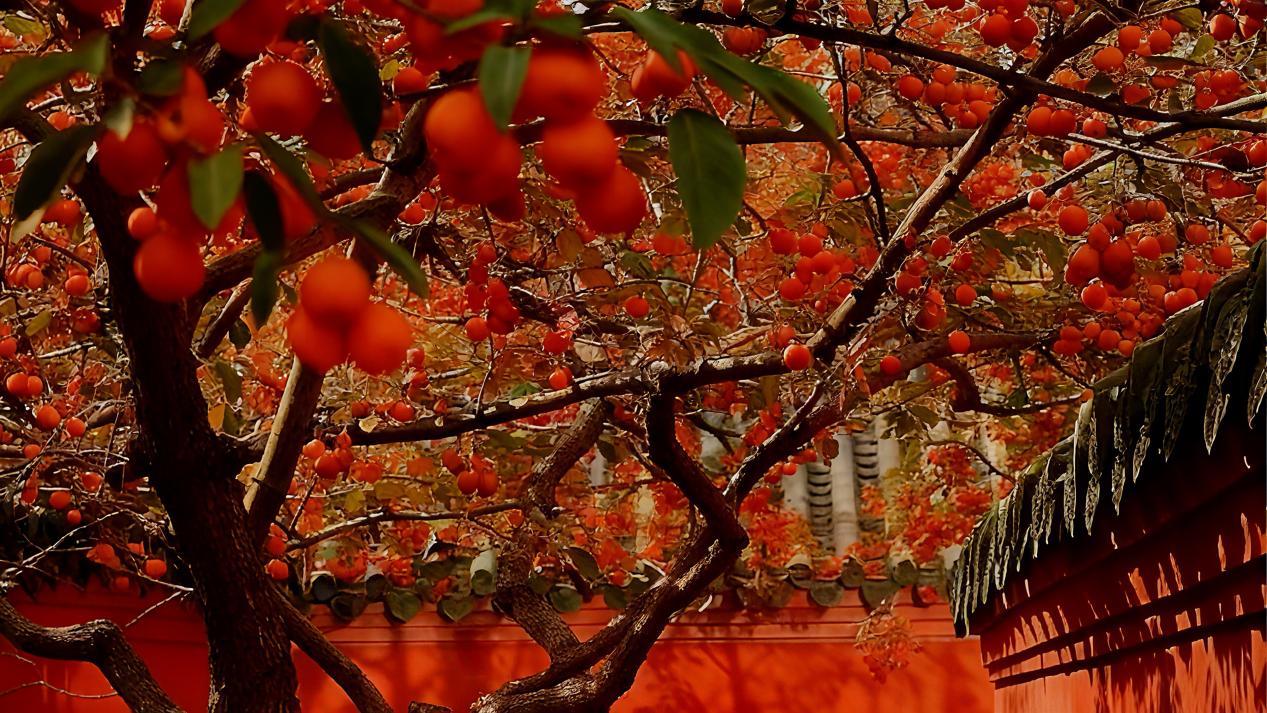 热销现场直击：北京隅·海岄销售现场依旧火爆！(图2)