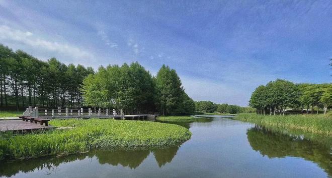 热搜好房!温哥华森林西郡售楼处发布:温哥华森林营销中心(图8)