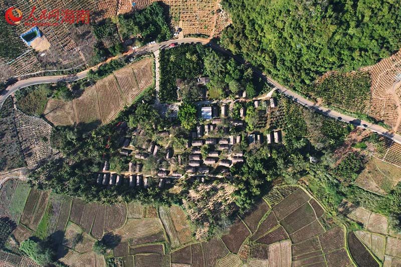 “山栏织梦·黎乡共生”东方市江边乡山栏节主题活动启幕(图1)