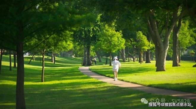 热推-石家庄绿城·锦海棠售楼处发布-顶级奢宅-以品质铸就传奇(图5)