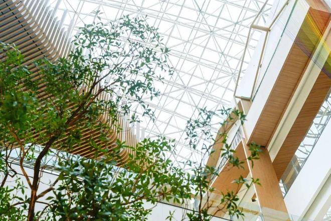 告别传统商场！无锡《荟山下》开街啦！(图2)