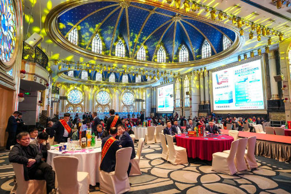 合肥活动公司服务全解析：安徽俏佳文化从策划到落地的专业支持。(图2)