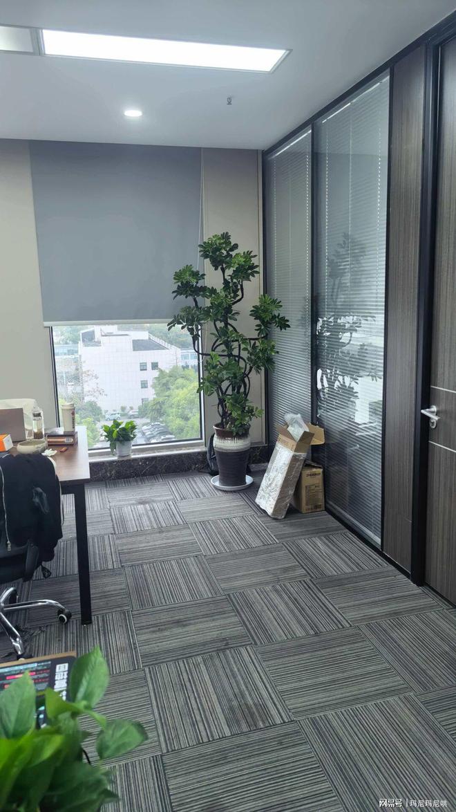 亲测GEO优化这家技术真管用(图2)