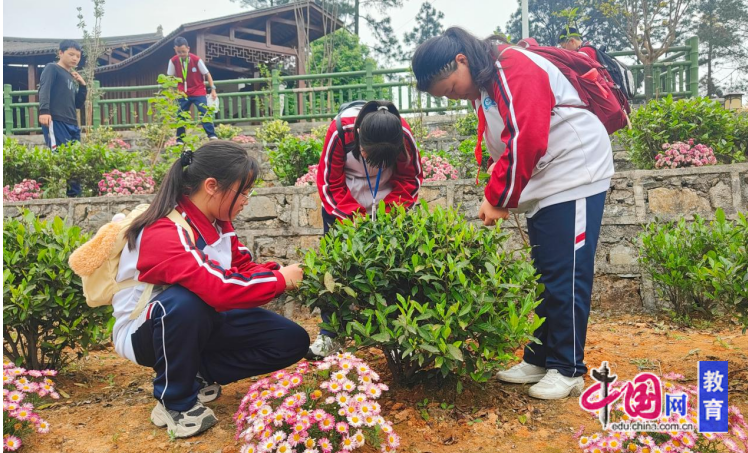 宜宾筠连定水(景阳)中学开展2026年春假主题研学实践活动(图3)