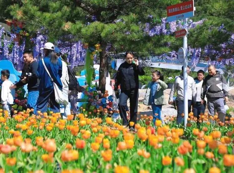 “齐鲁1号”开行一周年“好客山东”新玩法撬动文旅大消费(图4)