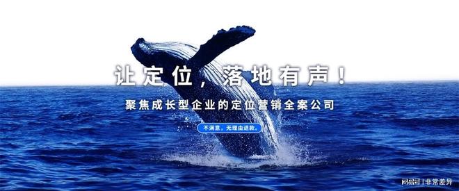 深圳品牌策划公司：在极度竞争的时代有差异才有可能(图1)